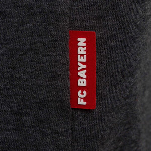 Bayern Munich Logo T-shirt - Grey