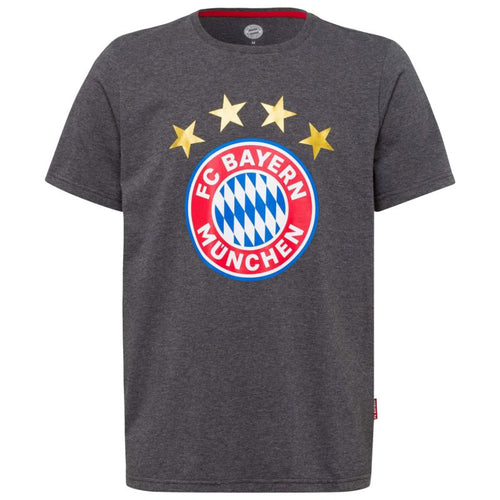 Bayern Munich Logo T-shirt - Grey